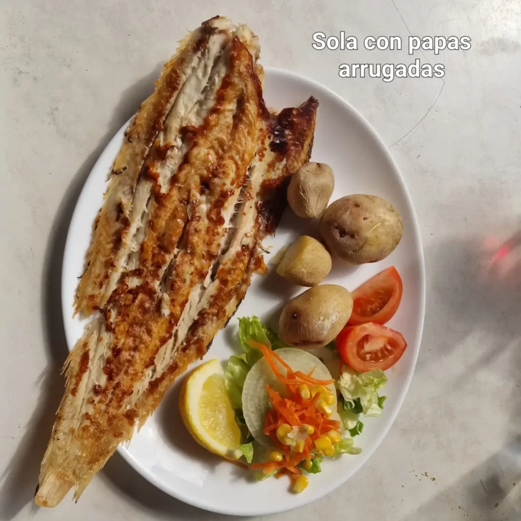 Sola con papas arrugadas scaled 1 1024x1024 - Wyspy Kanaryjskie — Co warto zjeść na Teneryfie?