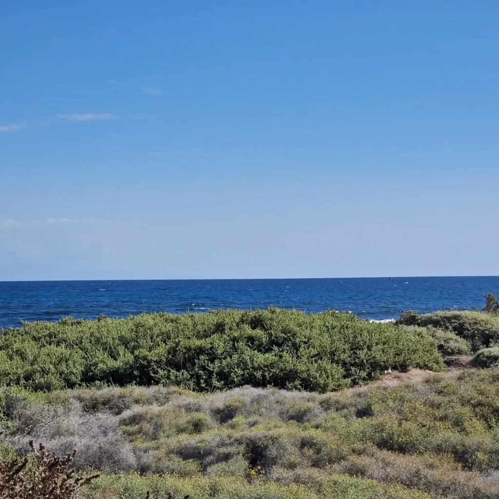 Playa de la Tejita el Medano Teneryfa 1 scaled 1 1024x1024 - Relaks z widokiem na Ocean Atlantycki — Teneryfa - co warto?